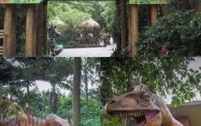 广州长隆野生动物园门票,探秘动物王国，畅游自然奇观